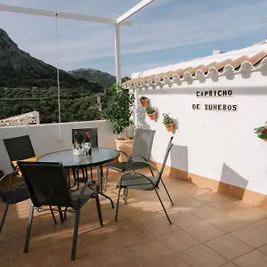 Capricho De Apartamento